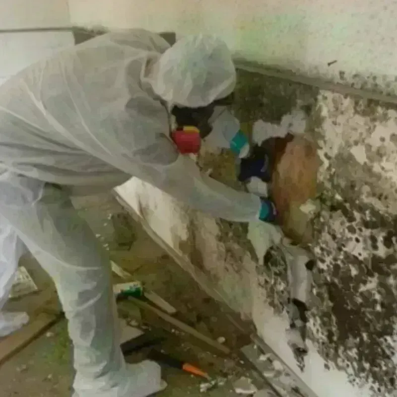 Mold Remediation and Removal in Union City, GA